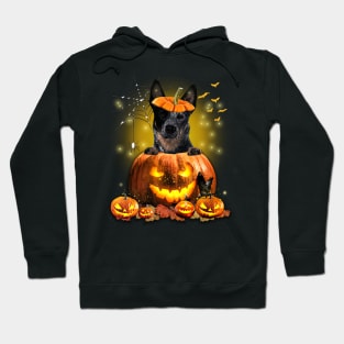 Blue Heeler Spooky Halloween Pumpkin Dog Head Hoodie